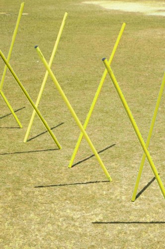 Slalom stokken - Set van 4