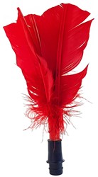 Reserve veren Indiaca