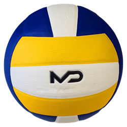 Volleybal