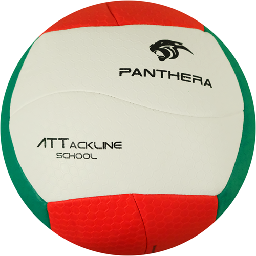 Panthera - Volleybal - Attackline school - BV500