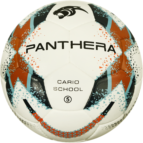 Panthera - Voetbal Cario school - Maat 5