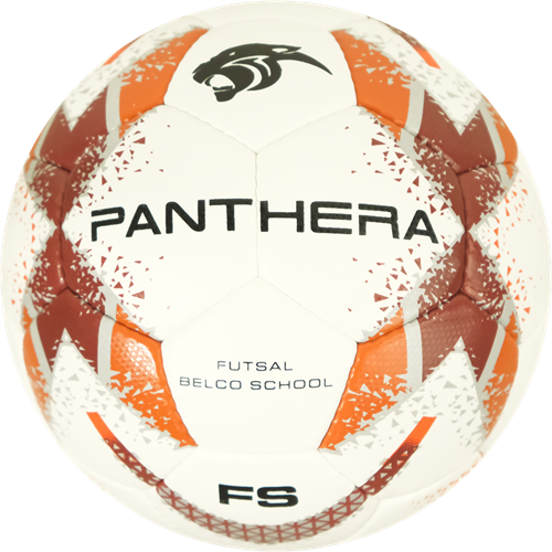 Panthera - Futsal - Belco school - Classic - Maat 4