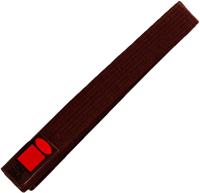 Judoband 260 - Bruin