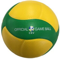 Mikasa Volleybal V200W CEV