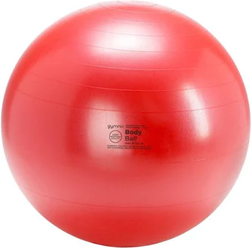 Bodybal