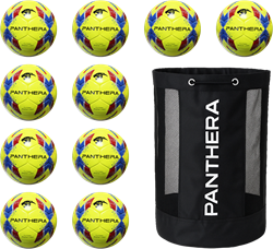Panthera - Futsal - Lido - Diverse uitvoeringen - Maat 4 - Set van 10 - Inclusief ballentas