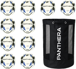 Panthera - Futsal - Belco school - Diverse uitvoeringen - Maat 4 - Set van 10 - Inclusief ballentas