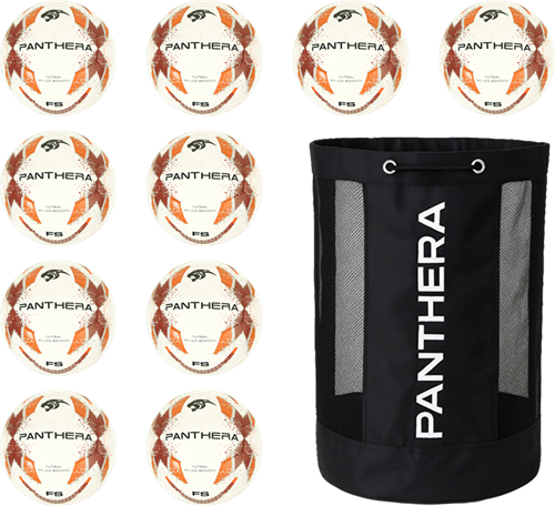 Panthera - Futsal - Belco school - Classic - Maat 4 - Set van 10 - Inclusief ballentas