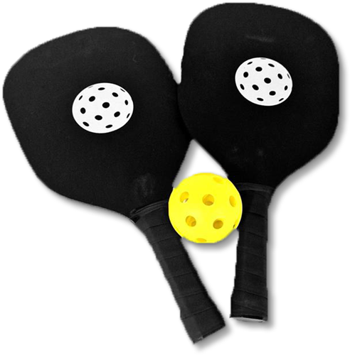 Pickleball set- Brons