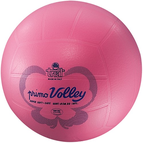 Volleybal - Airball - Butterfly - Maat 6 - BV15