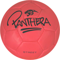 Panthera - Burner bal - Zachte handbal - 13 cm - Roze