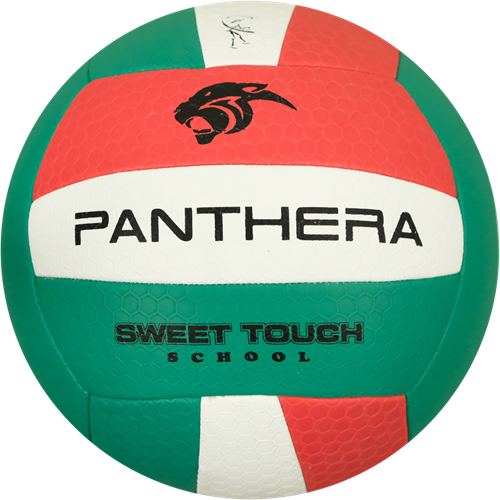 Panthera - Volleybal - Sweet touch school