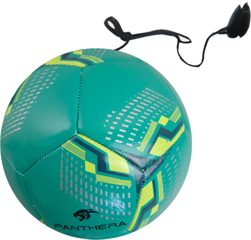 Panthera - Voetbal trainer