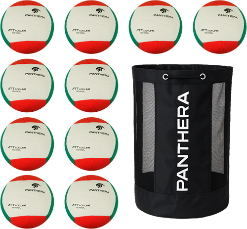 Panthera - Volleybal - Attackline school - BV500 - Set van 10 ballen - Inclusief ballentas